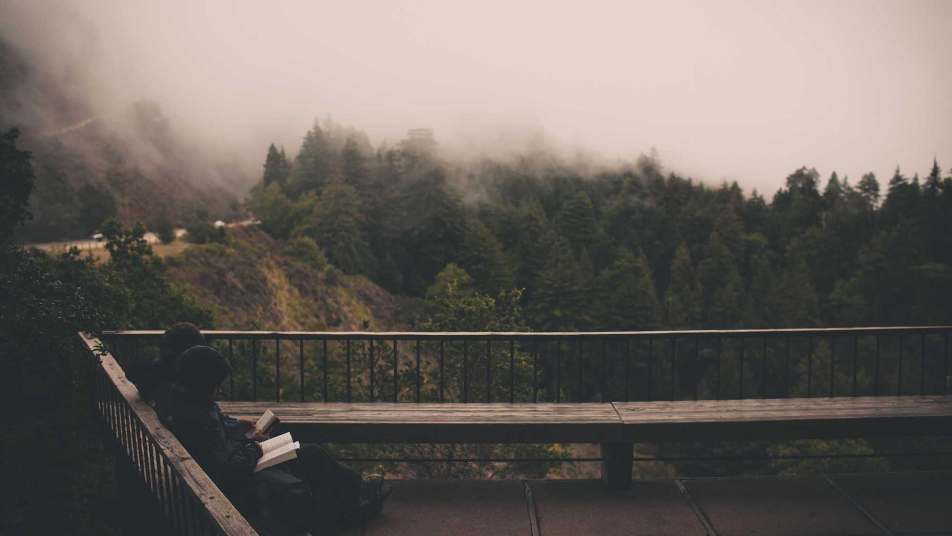 Imagen de la publicación