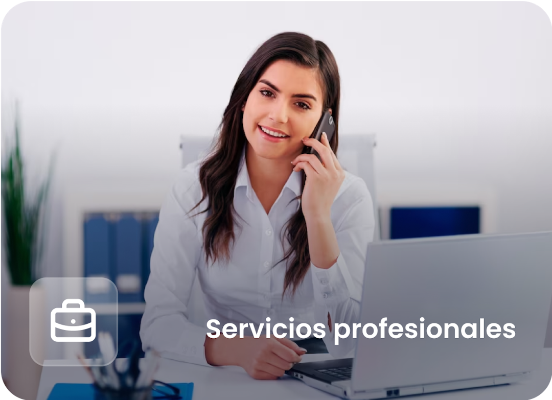 profesional-services