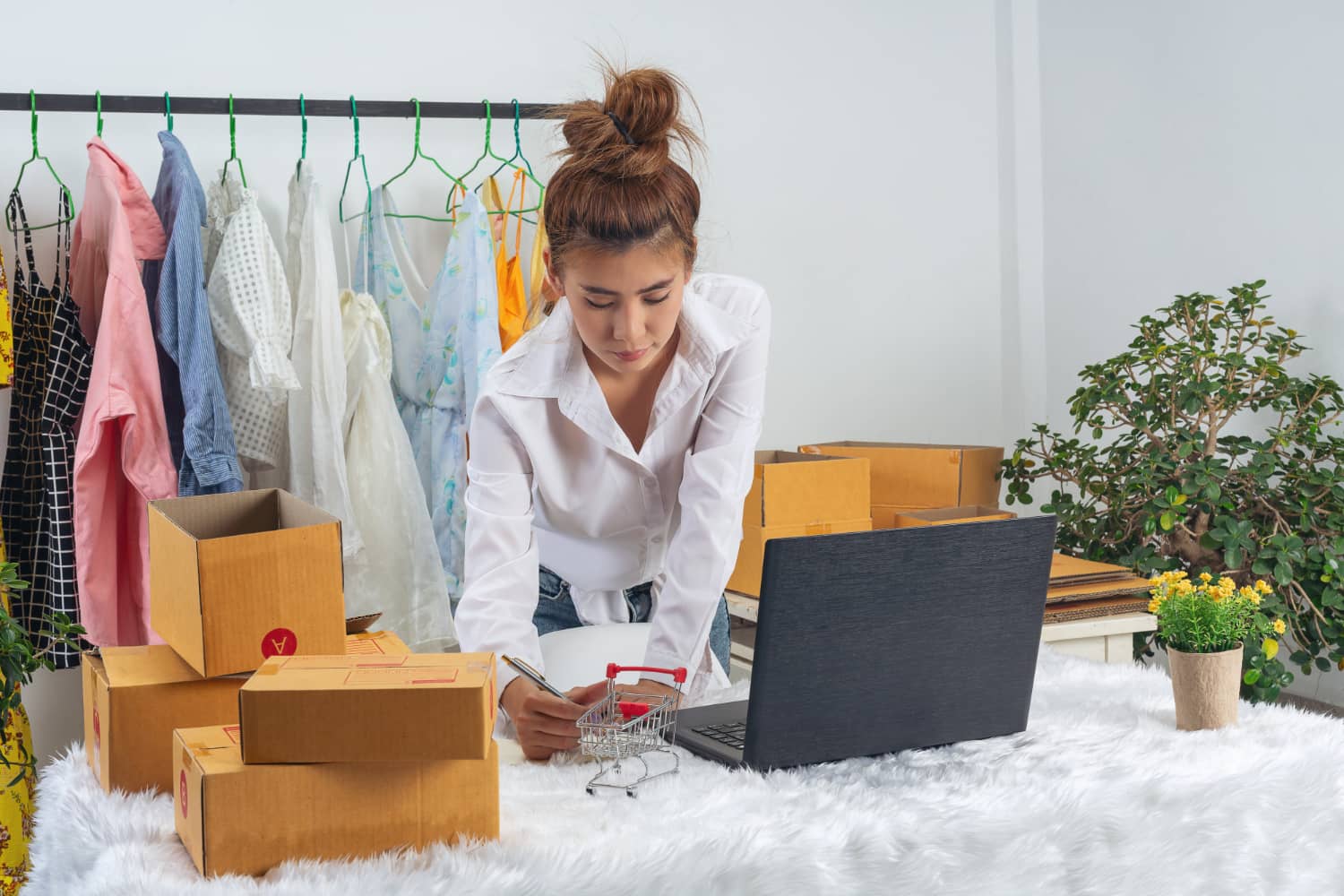 Creando tienda online