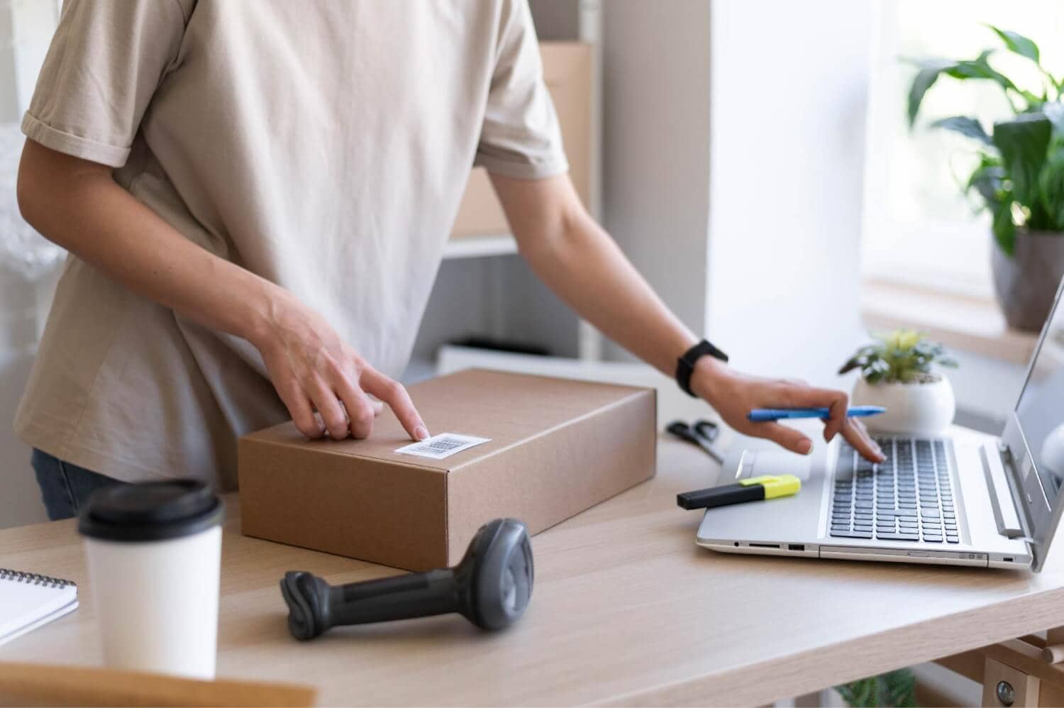 imagen de la publicación